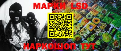 мдпв Донской