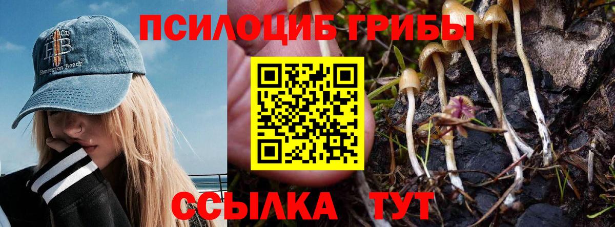 Галлюциногенные грибы мицелий  Вход с VPN  Псилоцибиновые грибы прущие грибы  Менделеевск 